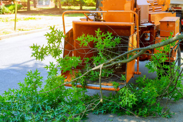  Callahan, FL Tree Services Pros